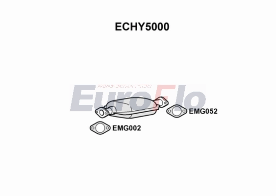 ECHY5000