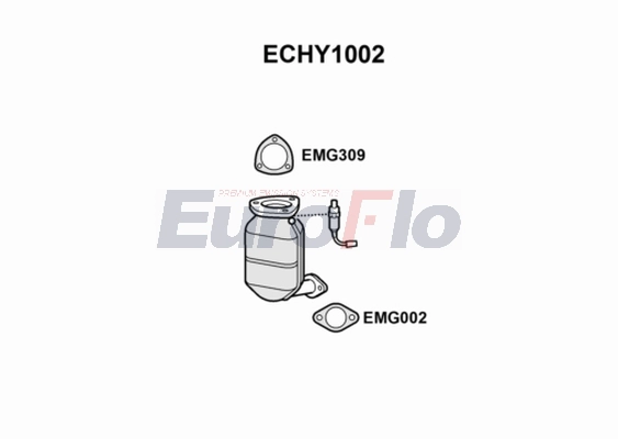 ECHY1002