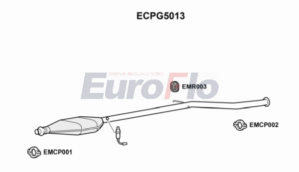 ECPG5013