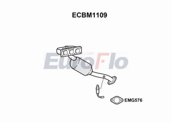 ECBM1109