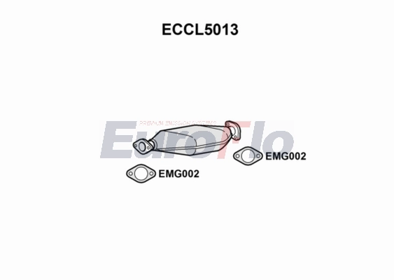 ECCL5013