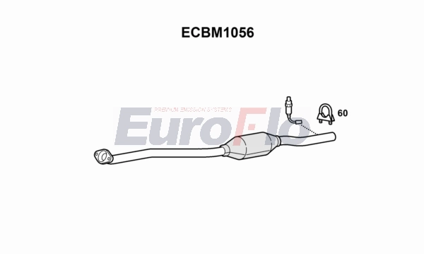 ECBM1056