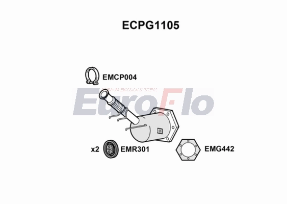 ECPG1105