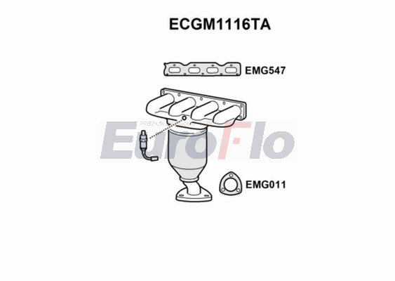 ECGM1116TA