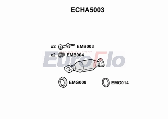 ECHA5003