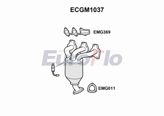 ECGM1037