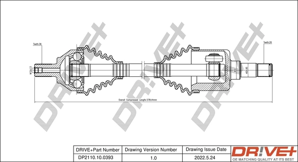 DP2110.10.0393