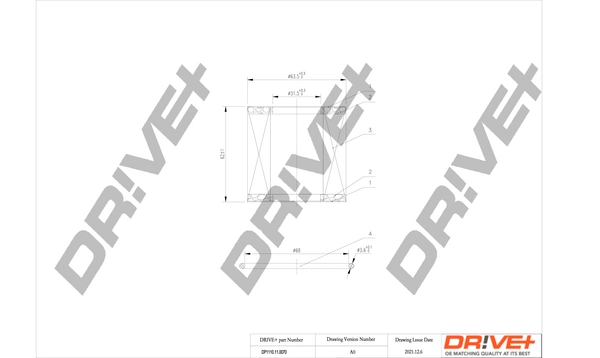 DP1110.11.0070