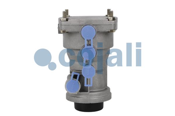 41032553