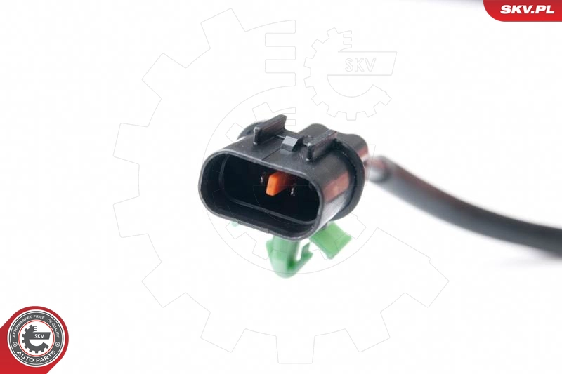 06SKV222
