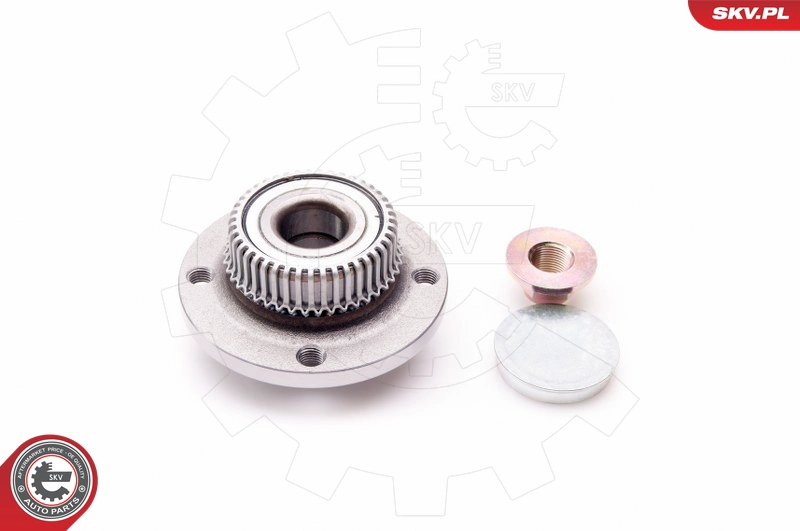 29SKV012
