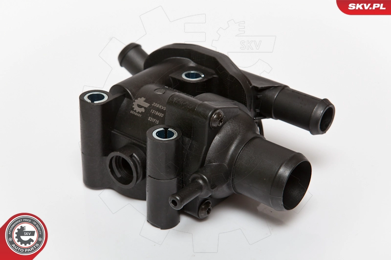 20SKV010