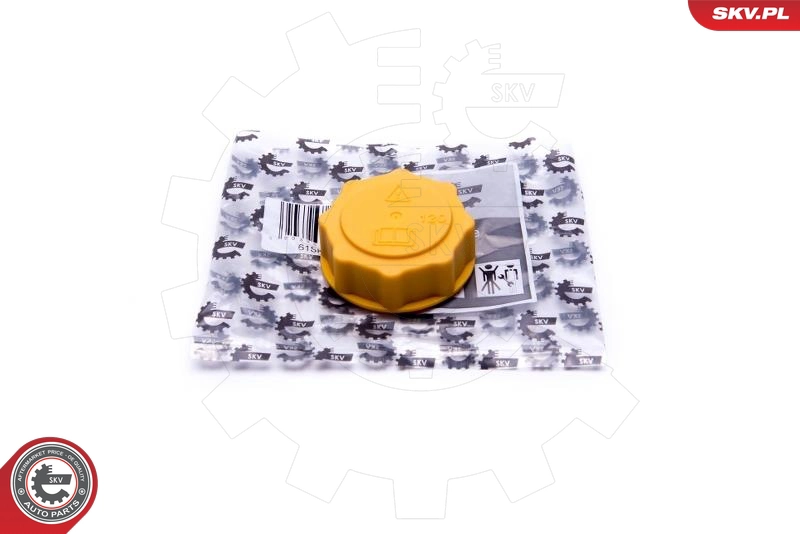 61SKV007