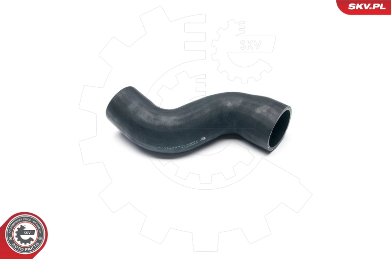 24SKV019