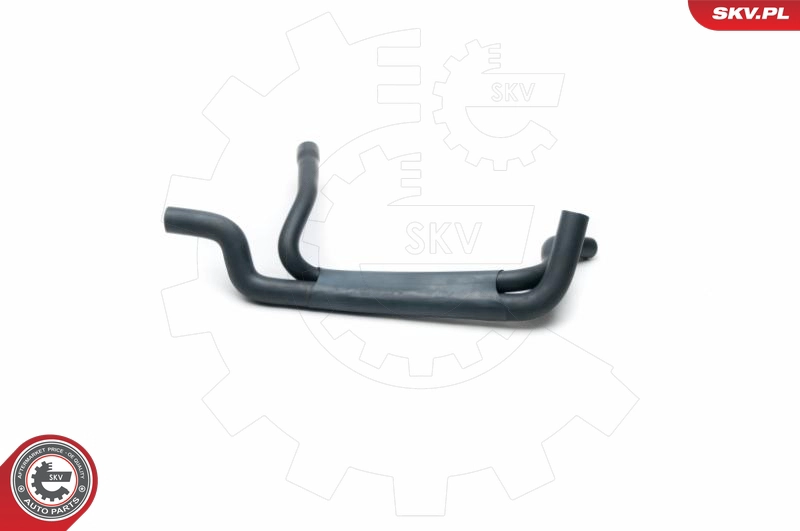 96SKV012