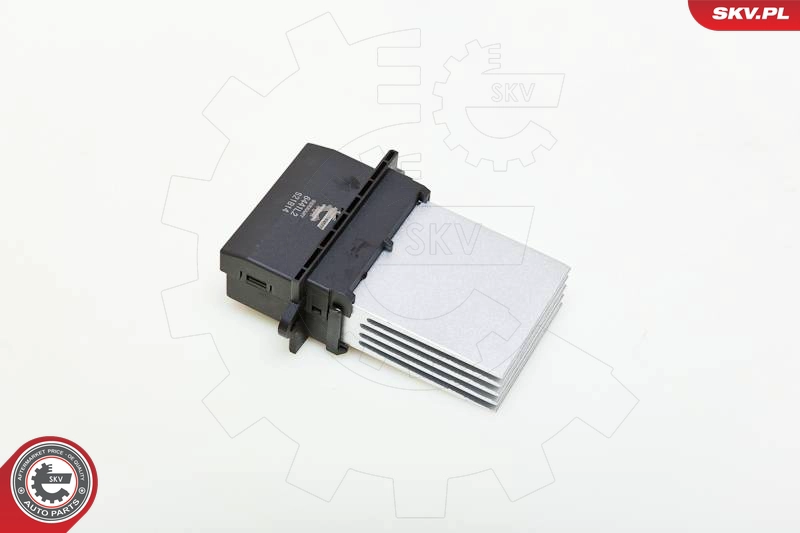 95SKV003