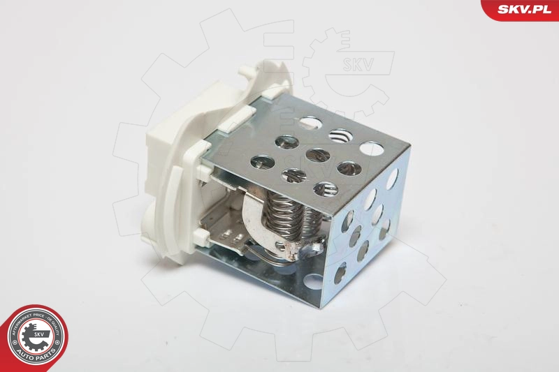 95SKV041