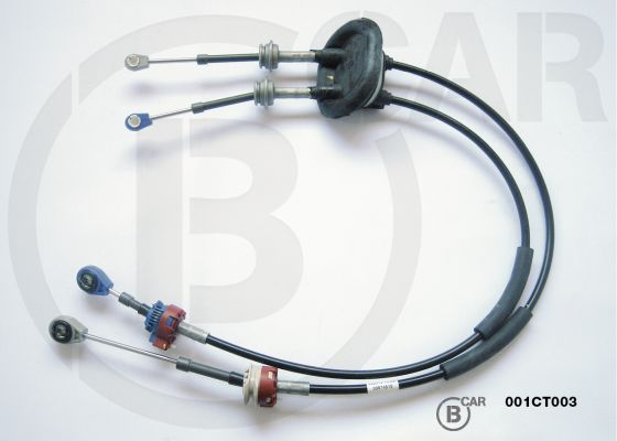 2444T9