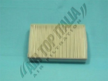 ZF373