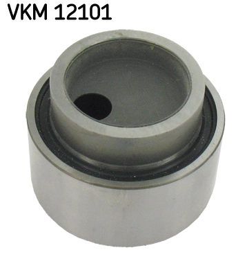 VKM 12101