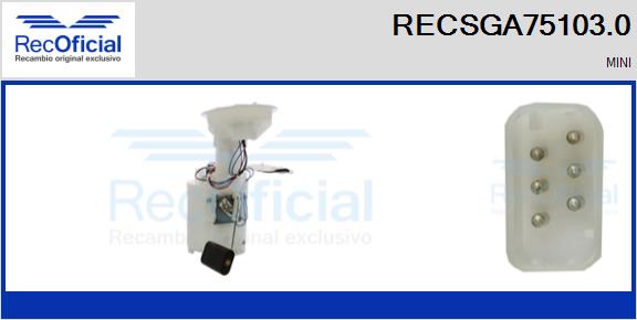 RECSGA75103.0