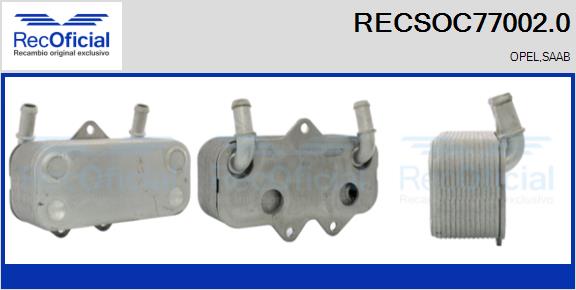 RECSOC77002.0