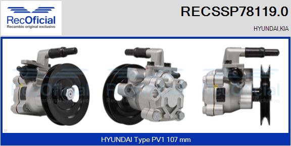 RECSSP78119.0