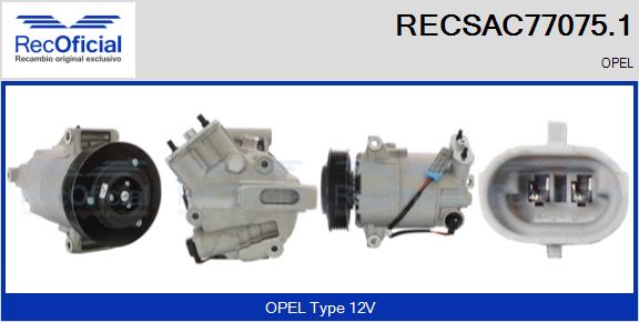 RECSAC77075.1