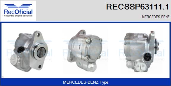 RECSSP63111.1