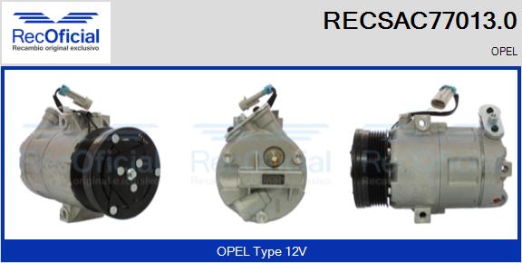 RECSAC77013.0