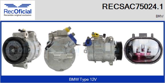 RECSAC75024.1