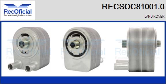 RECSOC81001.0