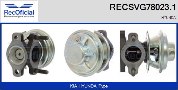 RECSVG78023.1