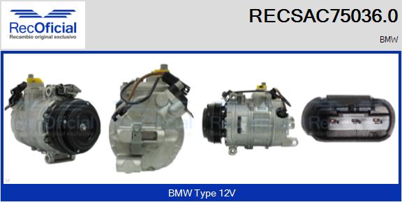 RECSAC75036.0