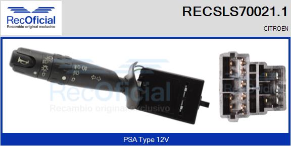RECSLS70021.1