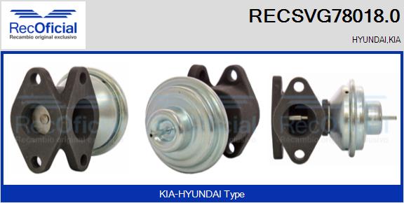 RECSVG78018.0