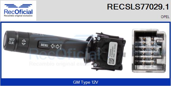 RECSLS77029.1