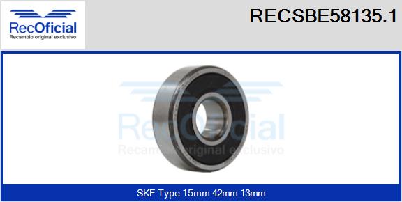 RECSBE58135.1