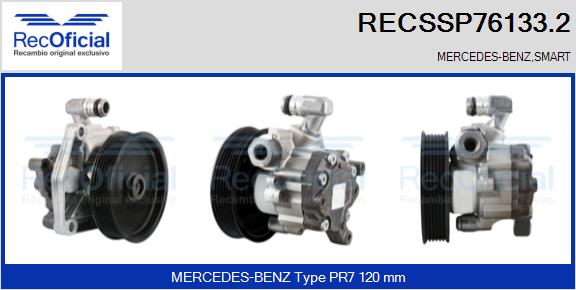 RECSSP76133.2
