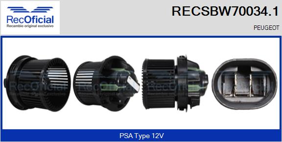 RECSBW70034.1