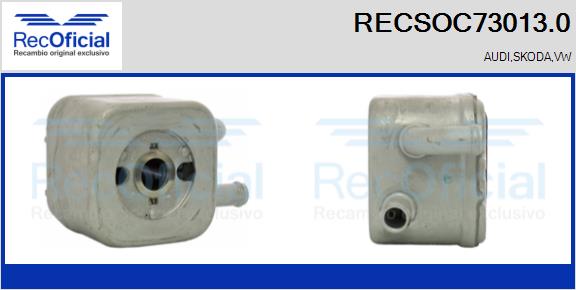 RECSOC73013.0
