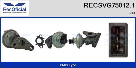 RECSVG75012.1