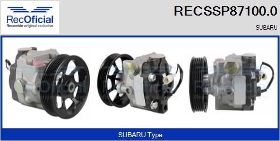RECSSP87100.0