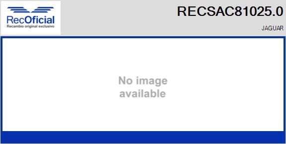 RECSAC81025.0