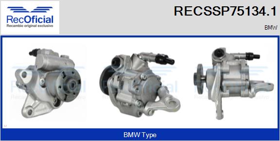 RECSSP75134.1