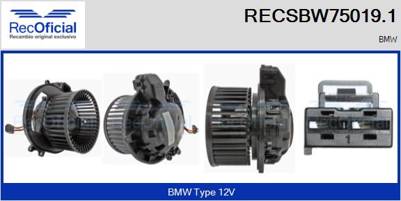RECSBW75019.1