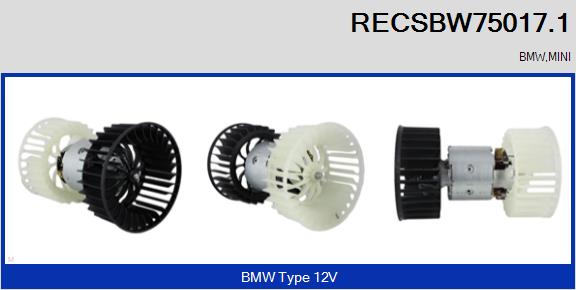 RECSBW75017.1