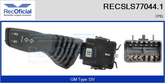 RECSLS77044.1