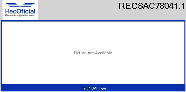 RECSAC78041.1