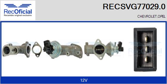 RECSVG77029.0